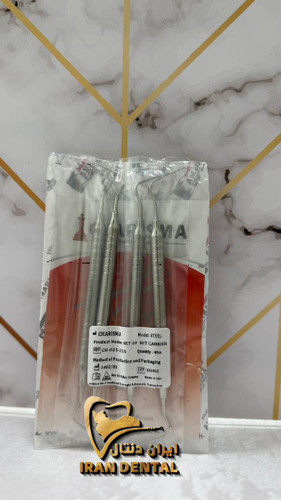 ست هیت کریر پلاگر دسته فلزی کاریزما